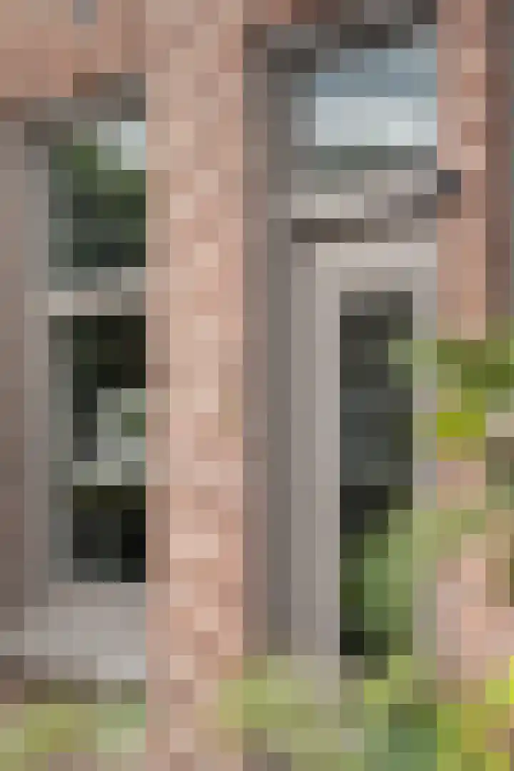 Emmastraat 3 Oud-Beijerland thumbnail 52