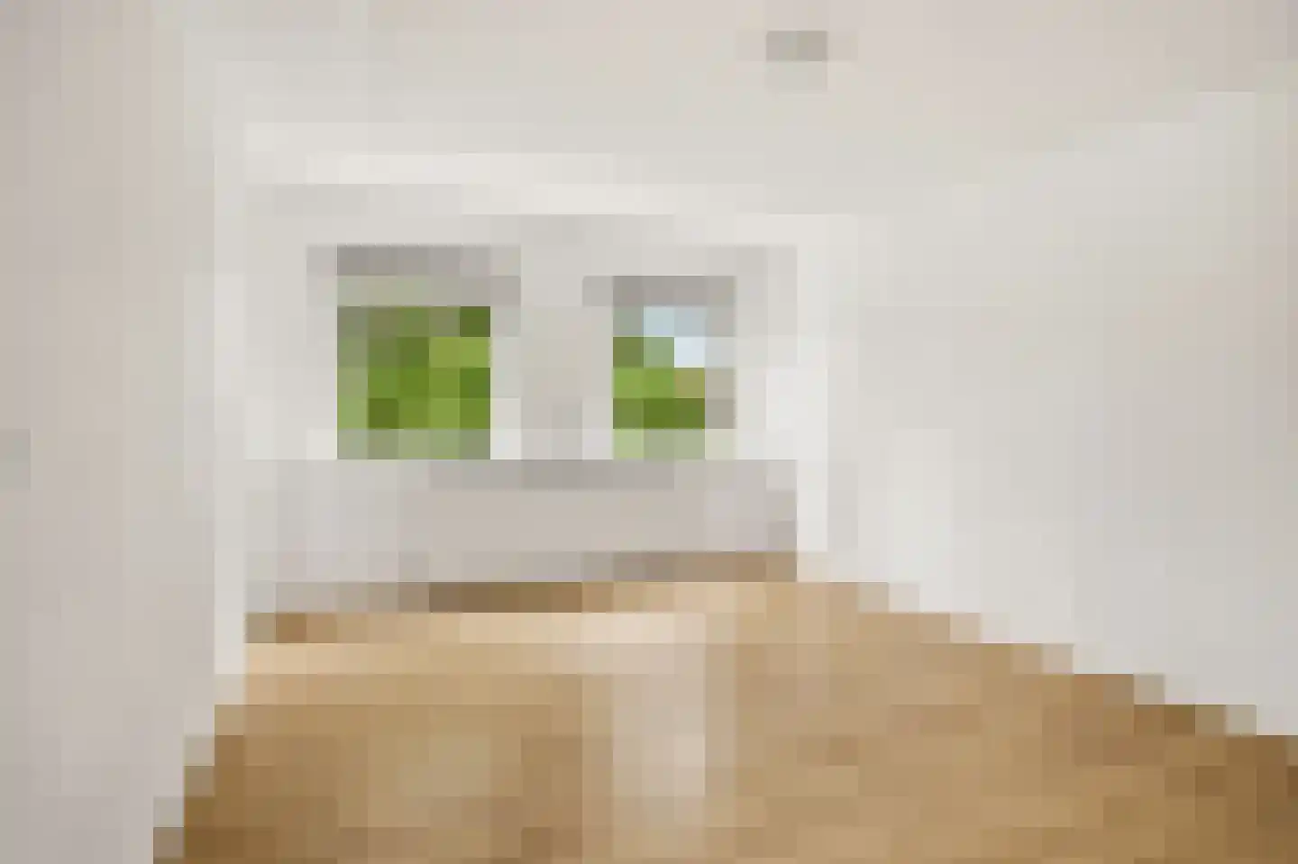 Emmastraat 3 Rotterdam thumbnail 18