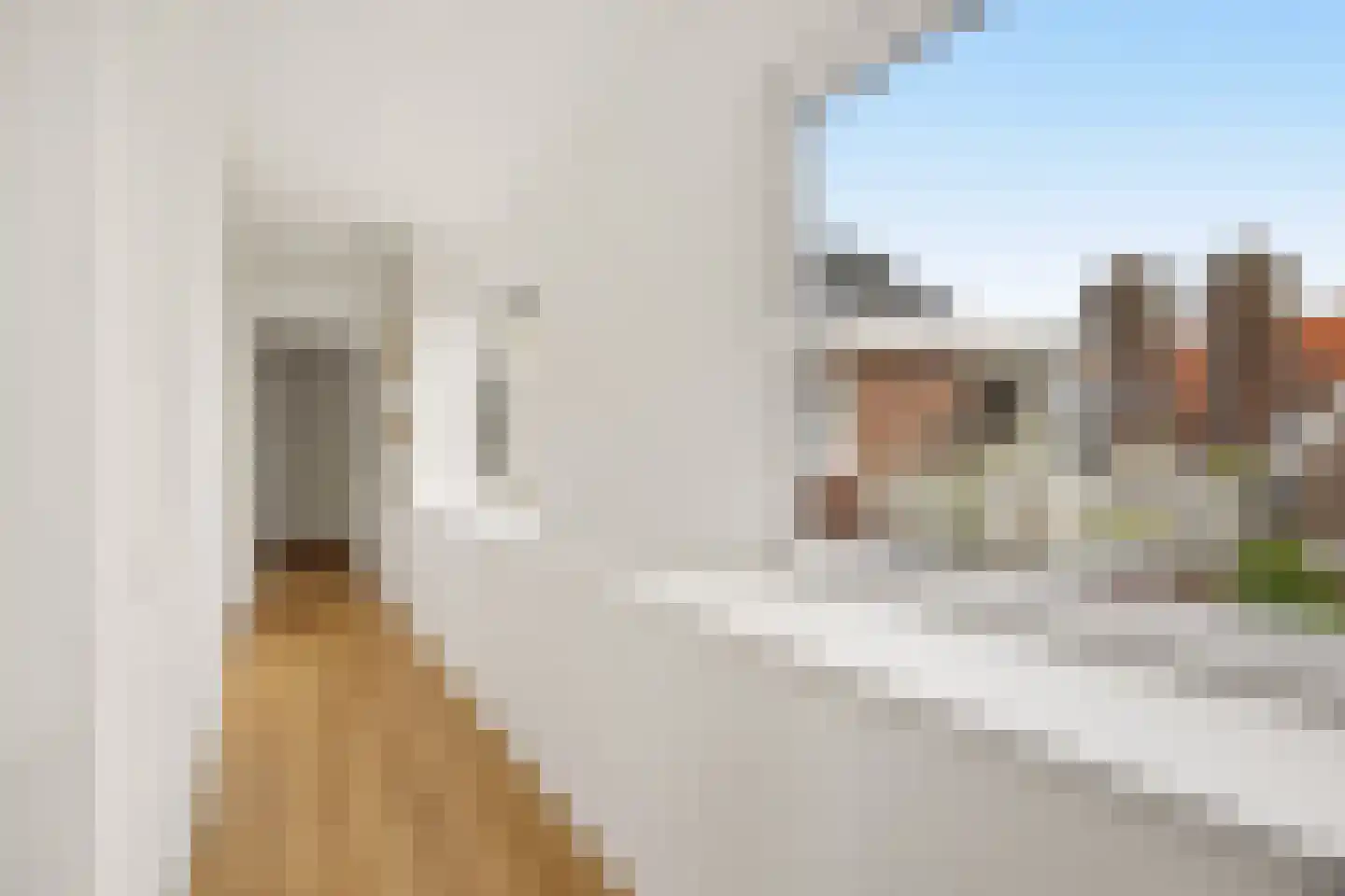 Emmastraat 3 Rotterdam thumbnail 24