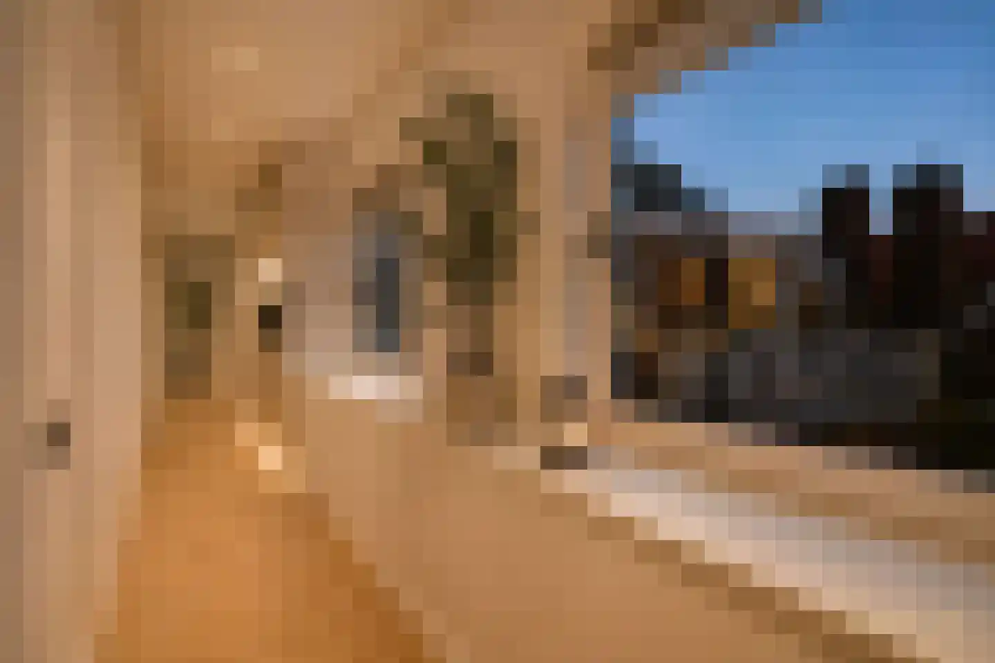 Emmastraat 3 Rotterdam thumbnail 25