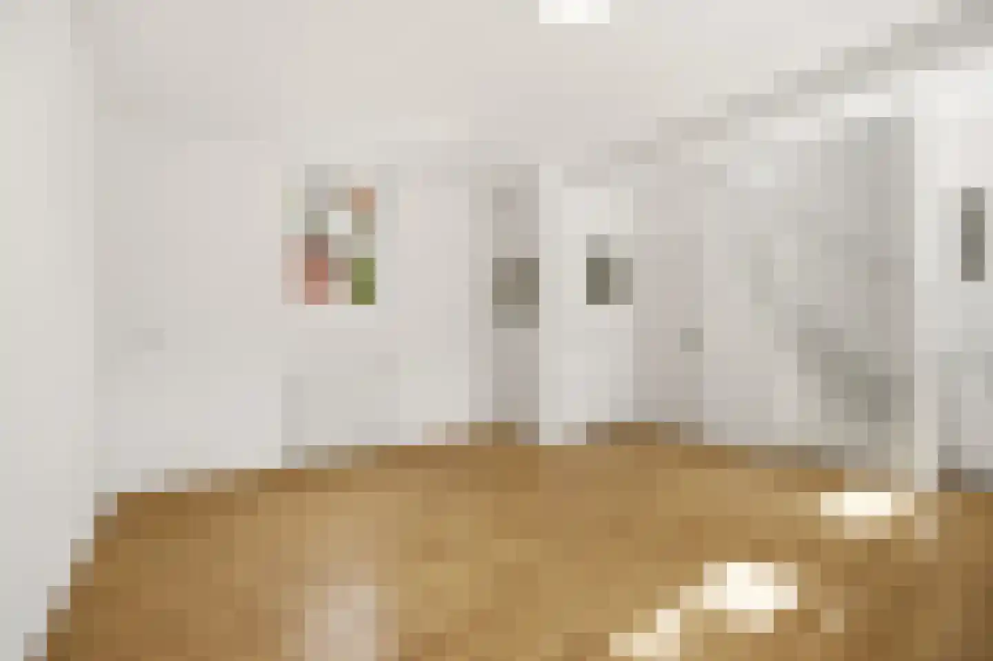 Emmastraat 3 Rotterdam thumbnail 5