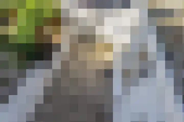 Emmastraat 3 Voorburg thumbnail 32