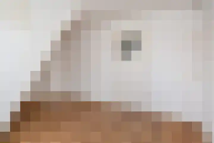 Emmastraat 3 Voorburg thumbnail 4