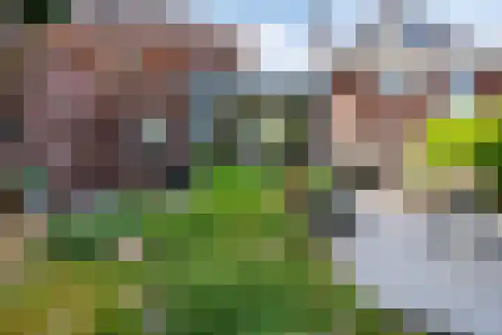 Emmastraat 30 Gennep thumbnail 68