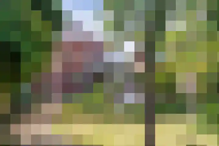 Emmastraat 30 Gennep thumbnail 72