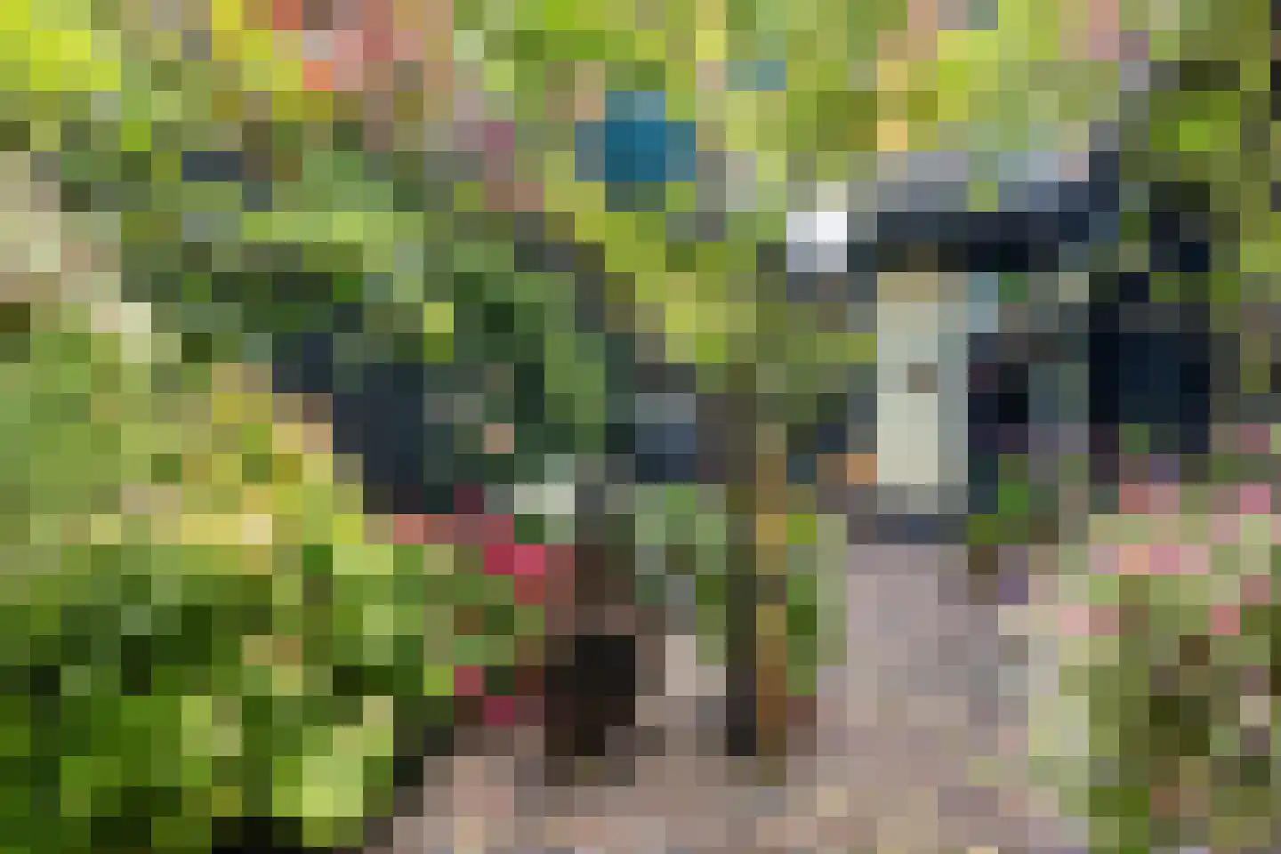 Emmastraat 30 Groningen thumbnail 10