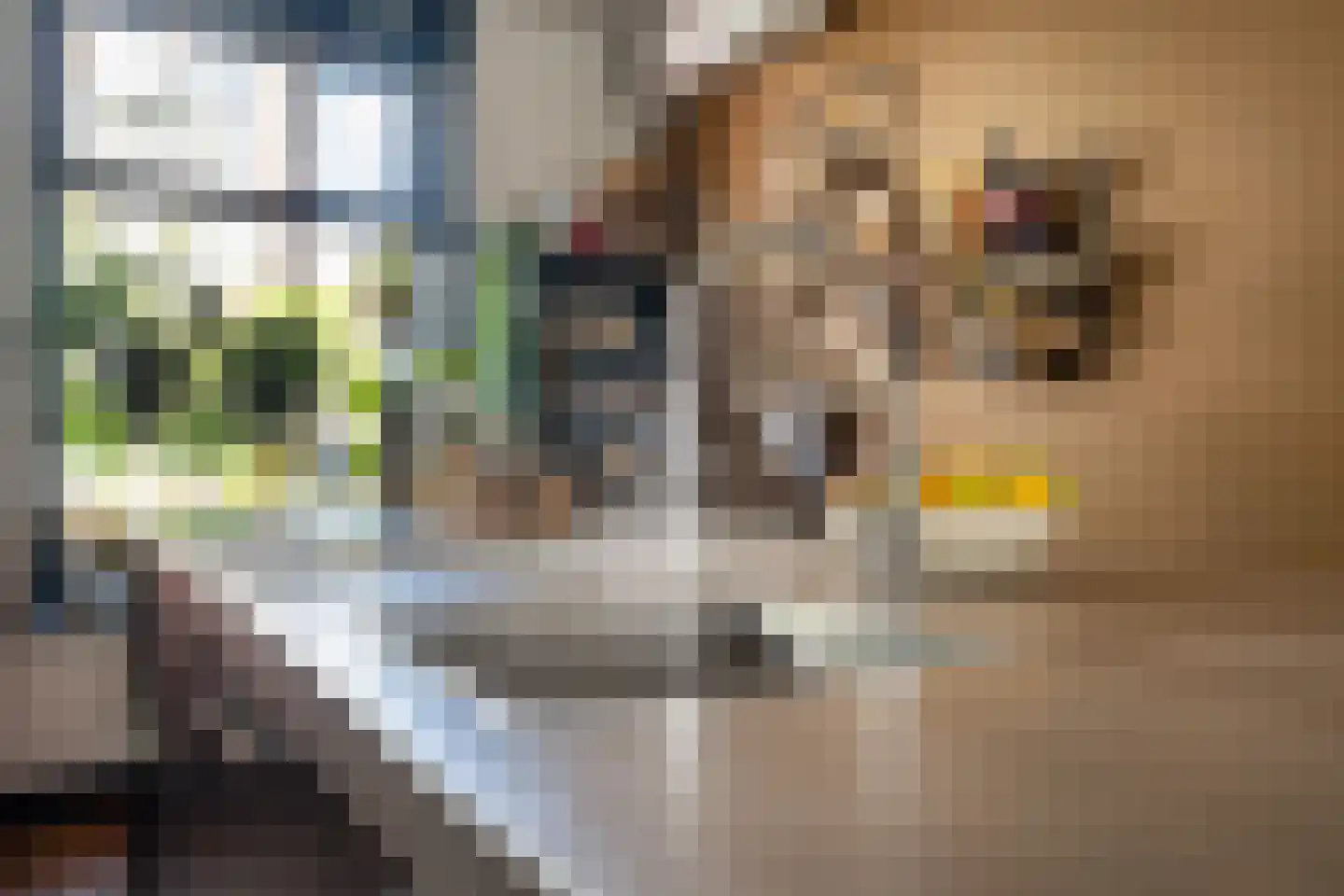 Emmastraat 30 Groningen thumbnail 35