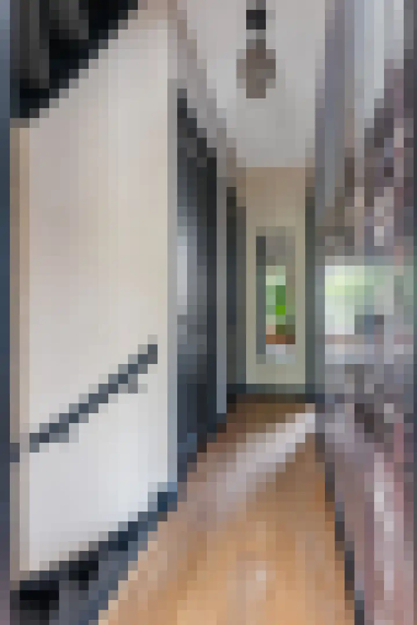 Emmastraat 30 Groningen thumbnail 43