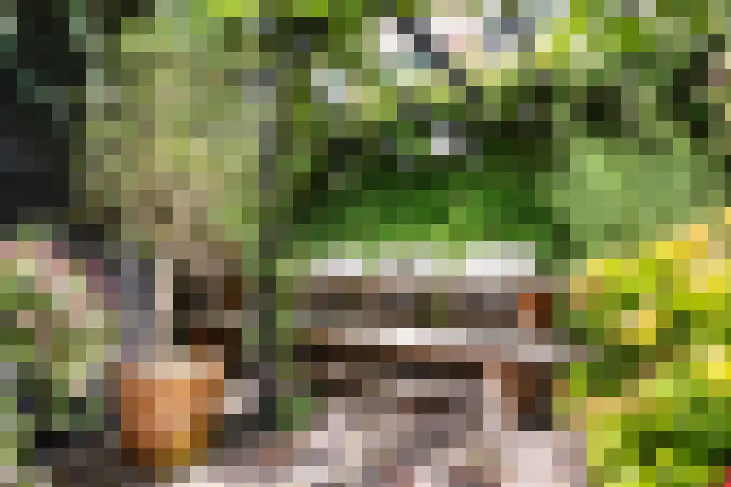 Emmastraat 30 Groningen thumbnail 8