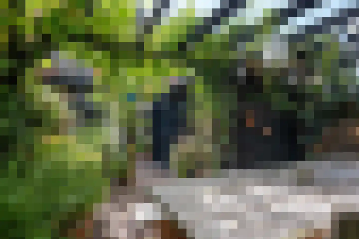 Emmastraat 30 Groningen thumbnail 9