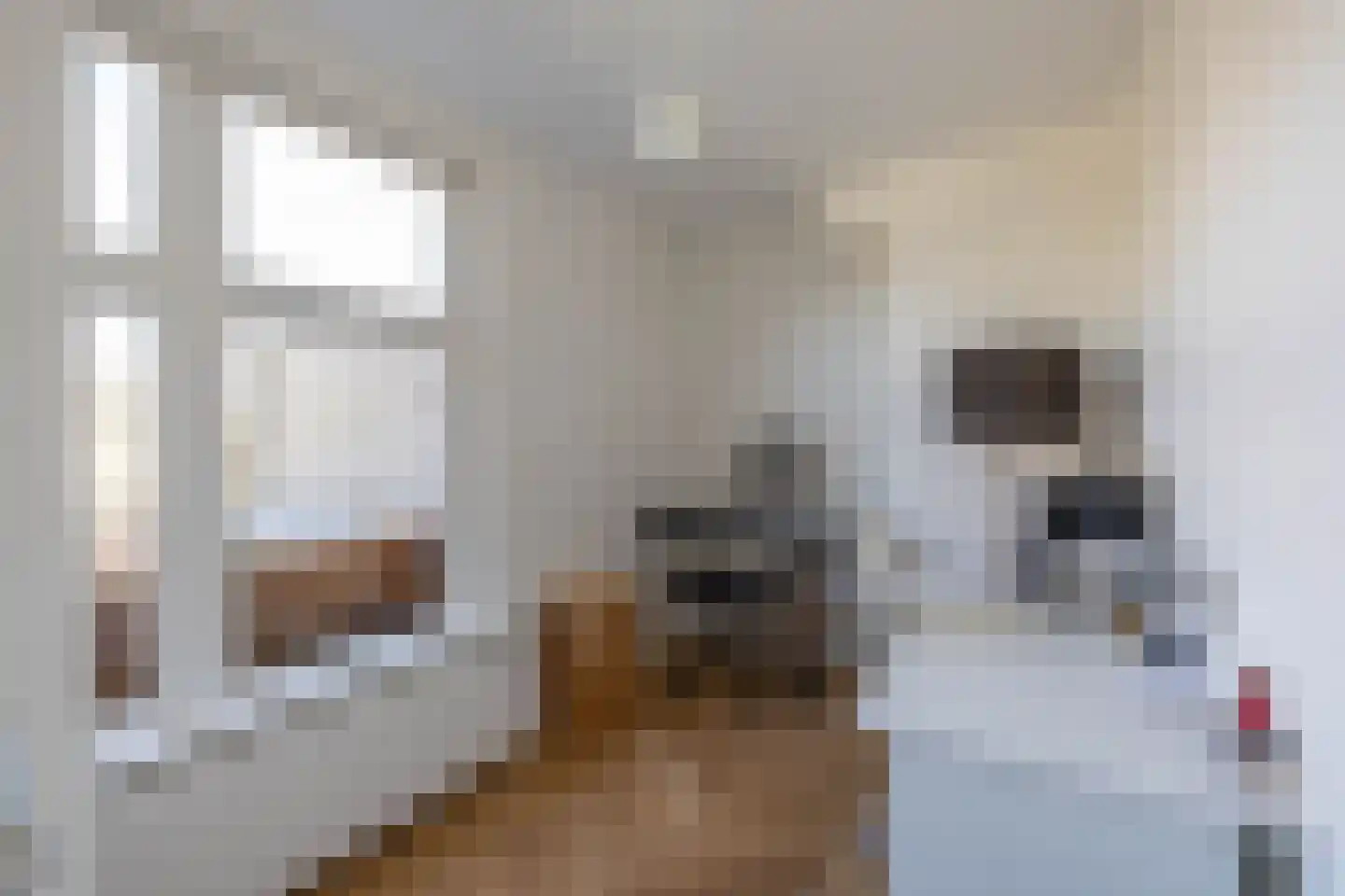 Emmastraat 31 1 Groningen thumbnail 30