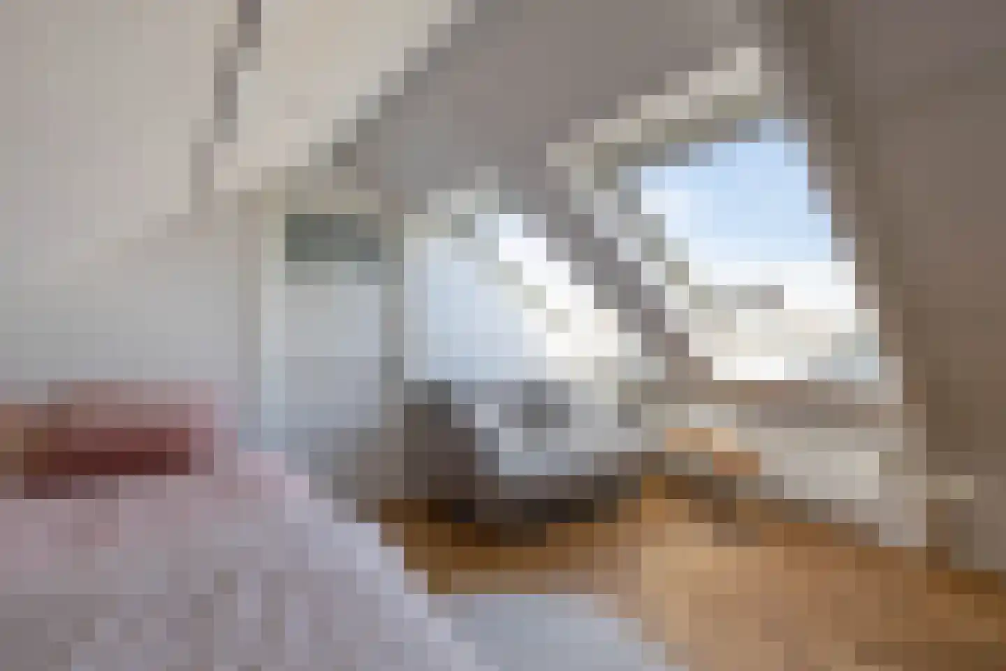 Emmastraat 31 1 Groningen thumbnail 44