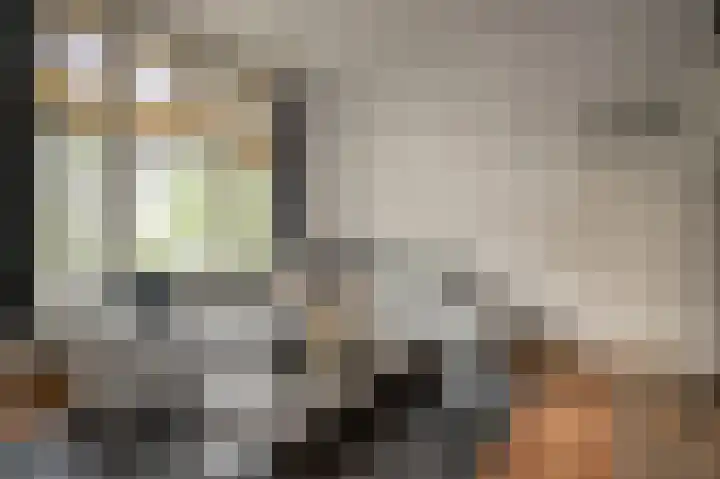 Emmastraat 31 4 Groningen thumbnail 20