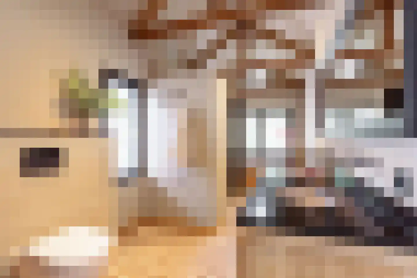 Emmastraat 31 Oldenzaal thumbnail 5