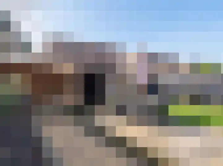 Emmastraat 32 Bocholtz thumbnail 24