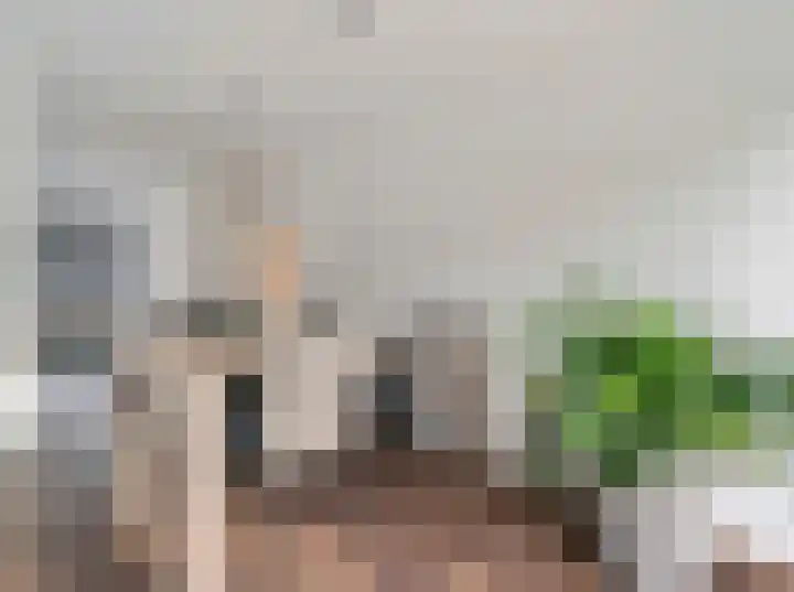 Emmastraat 32 Bocholtz thumbnail 8