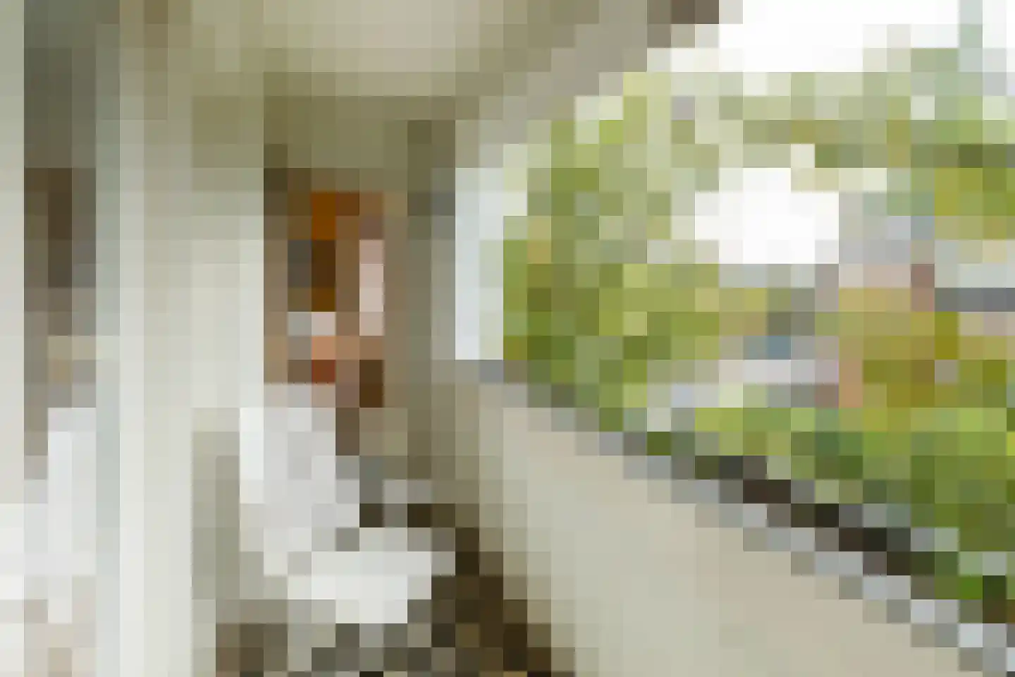 Emmastraat 32 K Amsterdam thumbnail 27