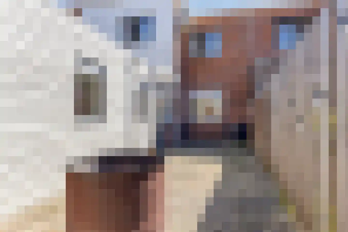 Emmastraat 32 Kampen thumbnail 21