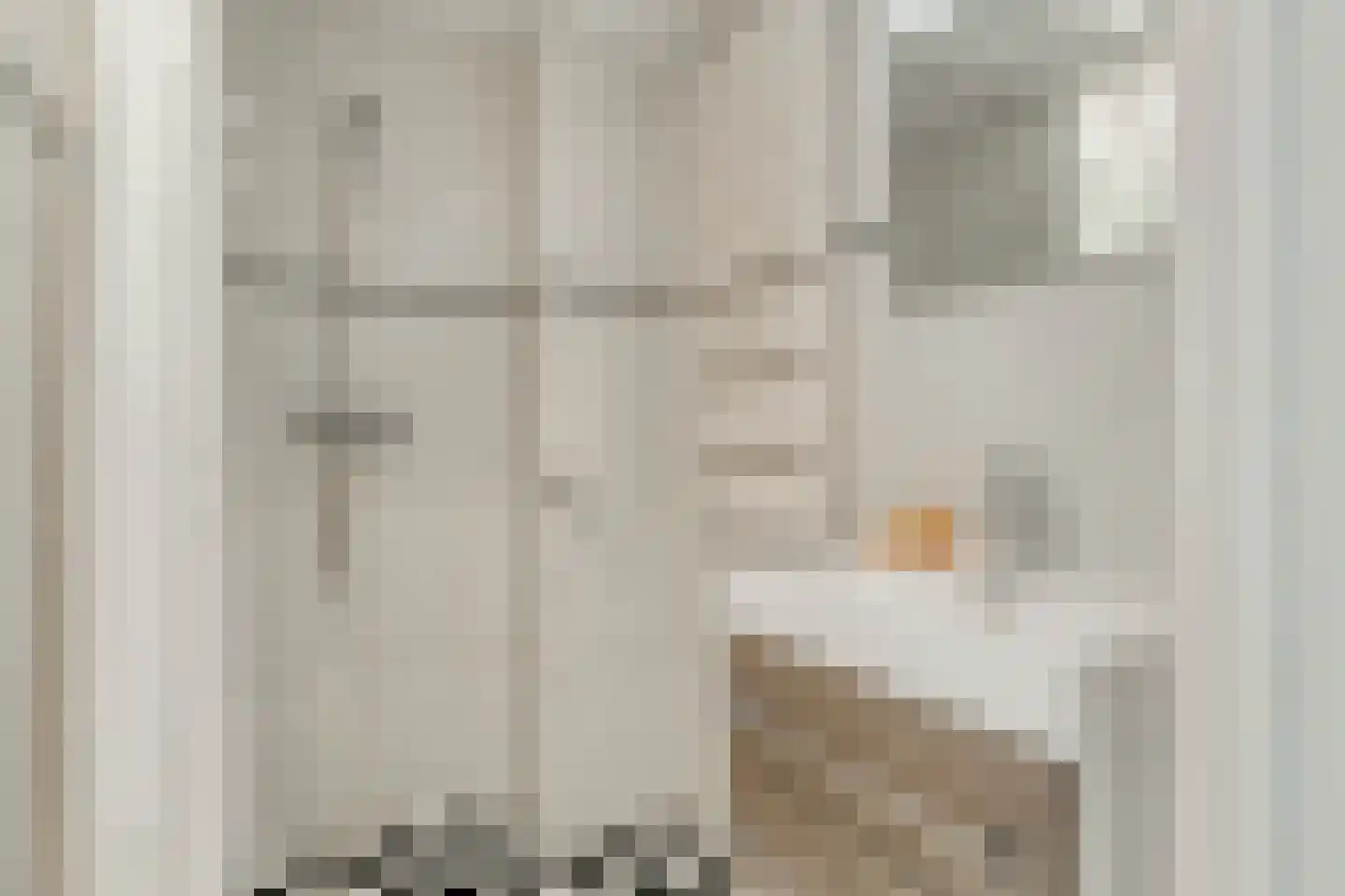Emmastraat 32 Oud-Beijerland thumbnail 19