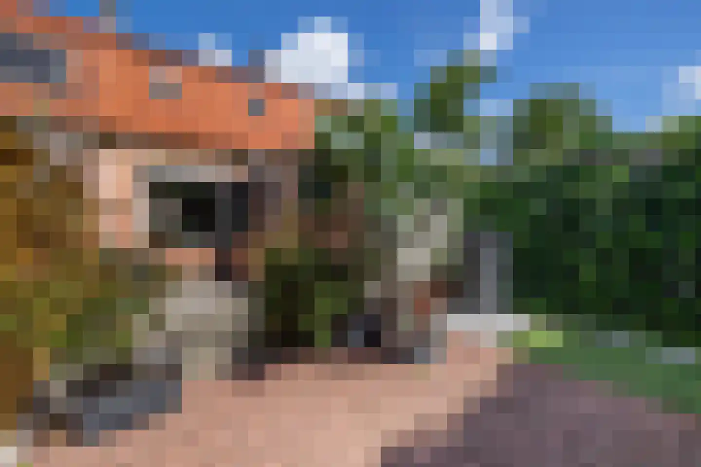 Emmastraat 33 Yerseke thumbnail 25