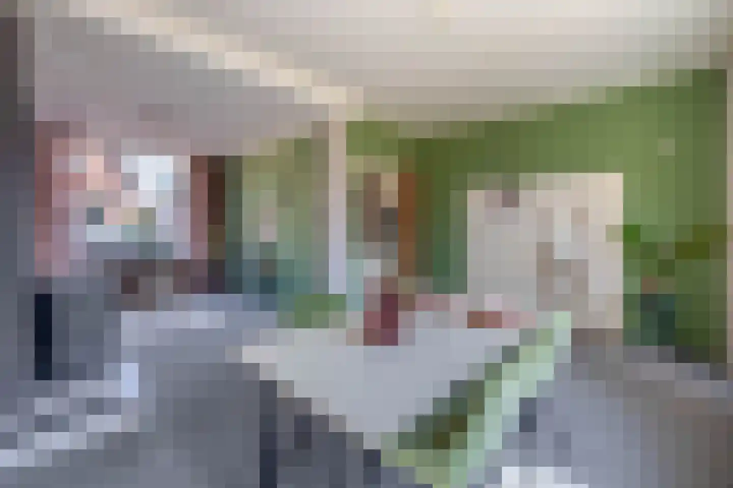 Emmastraat 33 Yerseke thumbnail 8