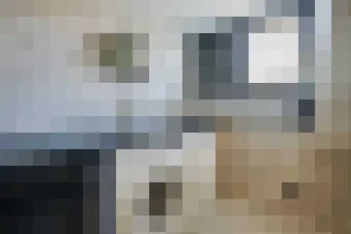 Emmastraat 34 De Lier thumbnail 30