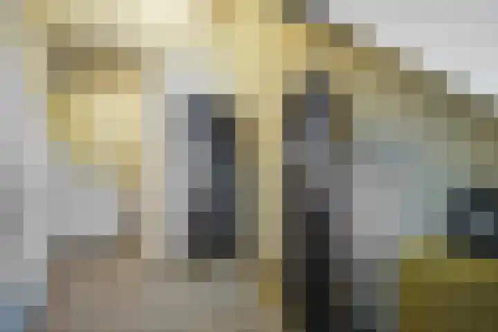 Emmastraat 34 De Lier thumbnail 37