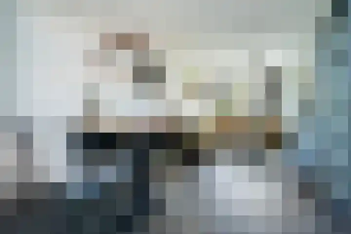 Emmastraat 34 De Lier thumbnail 4