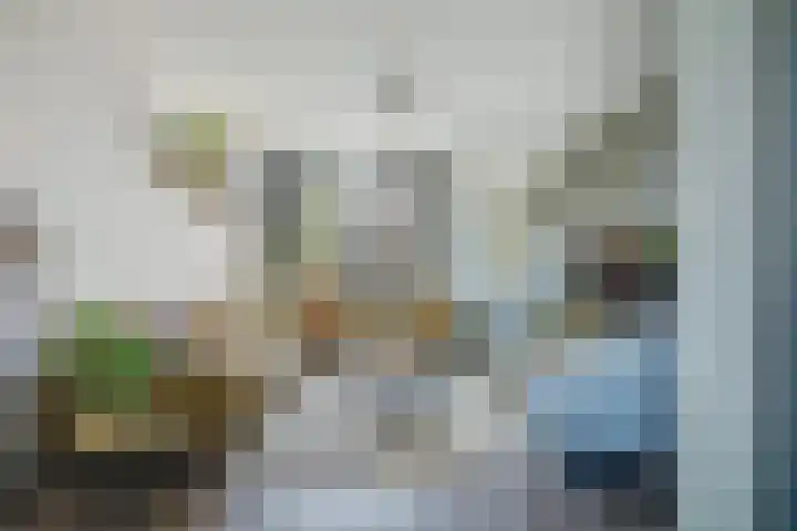 Emmastraat 34 De Lier thumbnail 7