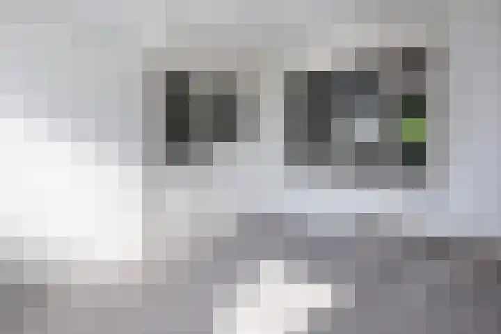 Emmastraat 34 Oude-Tonge thumbnail 15