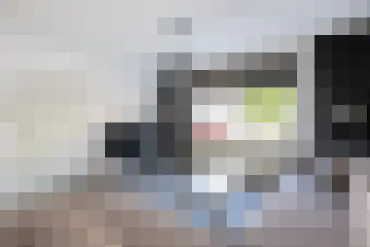 Emmastraat 34 Oude-Tonge thumbnail 6