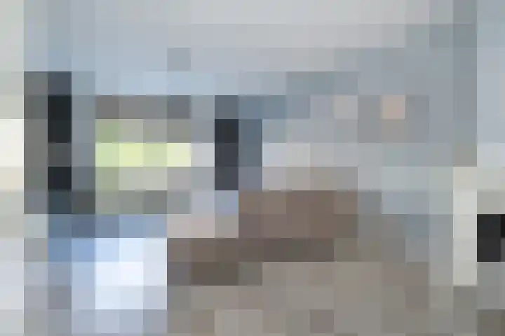 Emmastraat 34 Oude-Tonge thumbnail 7