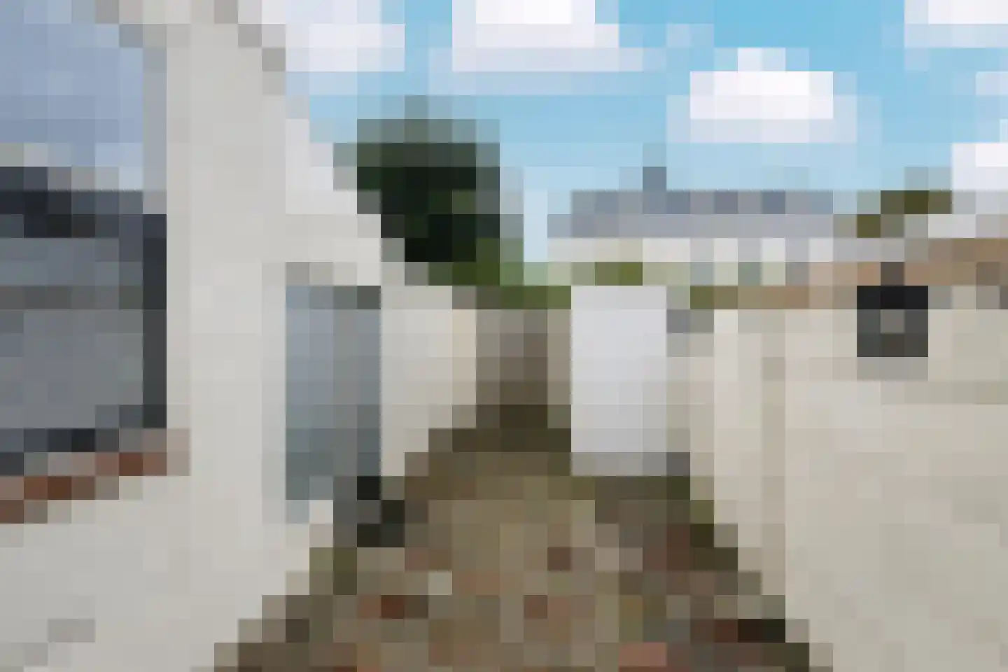 Emmastraat 34 Vlaardingen thumbnail 16