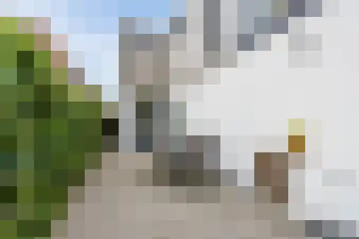 Emmastraat 35 Dongen thumbnail 30