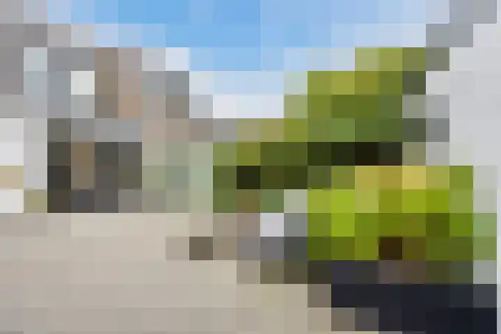 Emmastraat 35 Dongen thumbnail 35