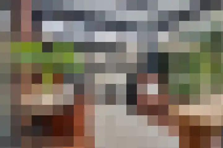 Emmastraat 38 Heinenoord thumbnail 13