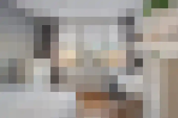Emmastraat 38 Heinenoord thumbnail 31