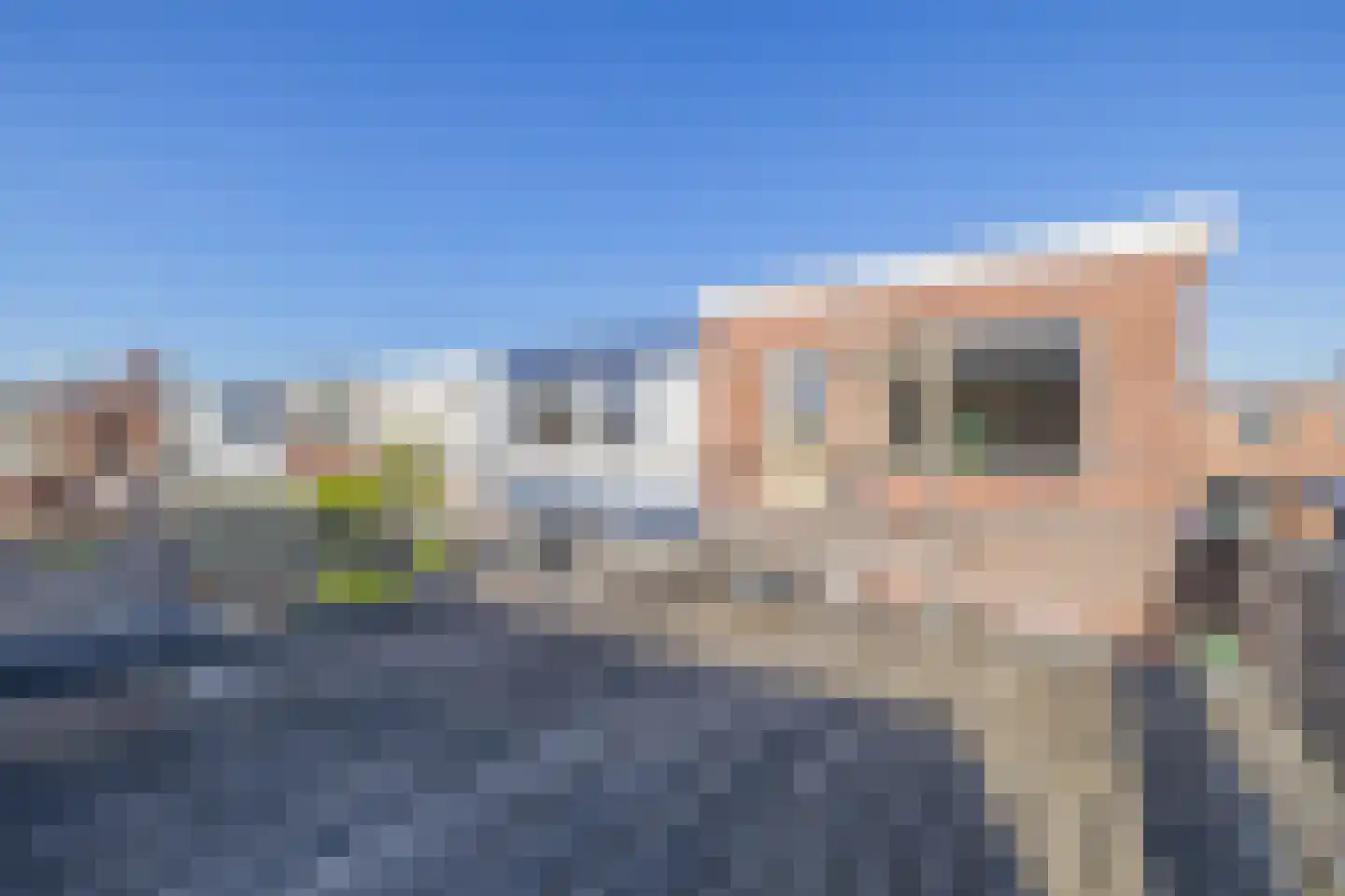 Emmastraat 38 Pijnacker thumbnail 25