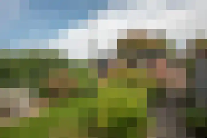 Emmastraat 39 Borne thumbnail 29
