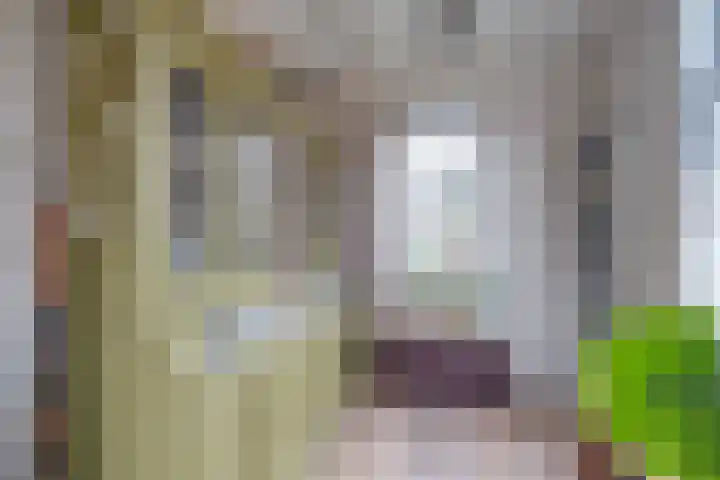 Emmastraat 39 Lochem thumbnail 7