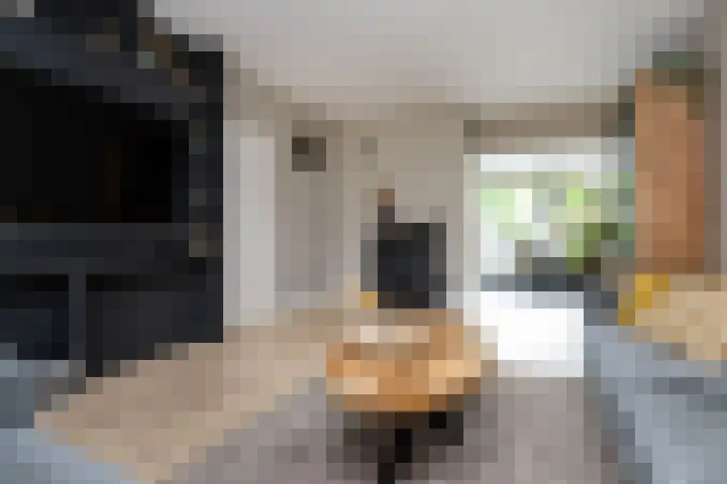 Emmastraat 39 Oude-Tonge thumbnail 11