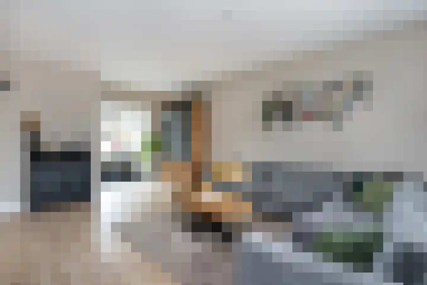 Emmastraat 39 Oude-Tonge thumbnail 12