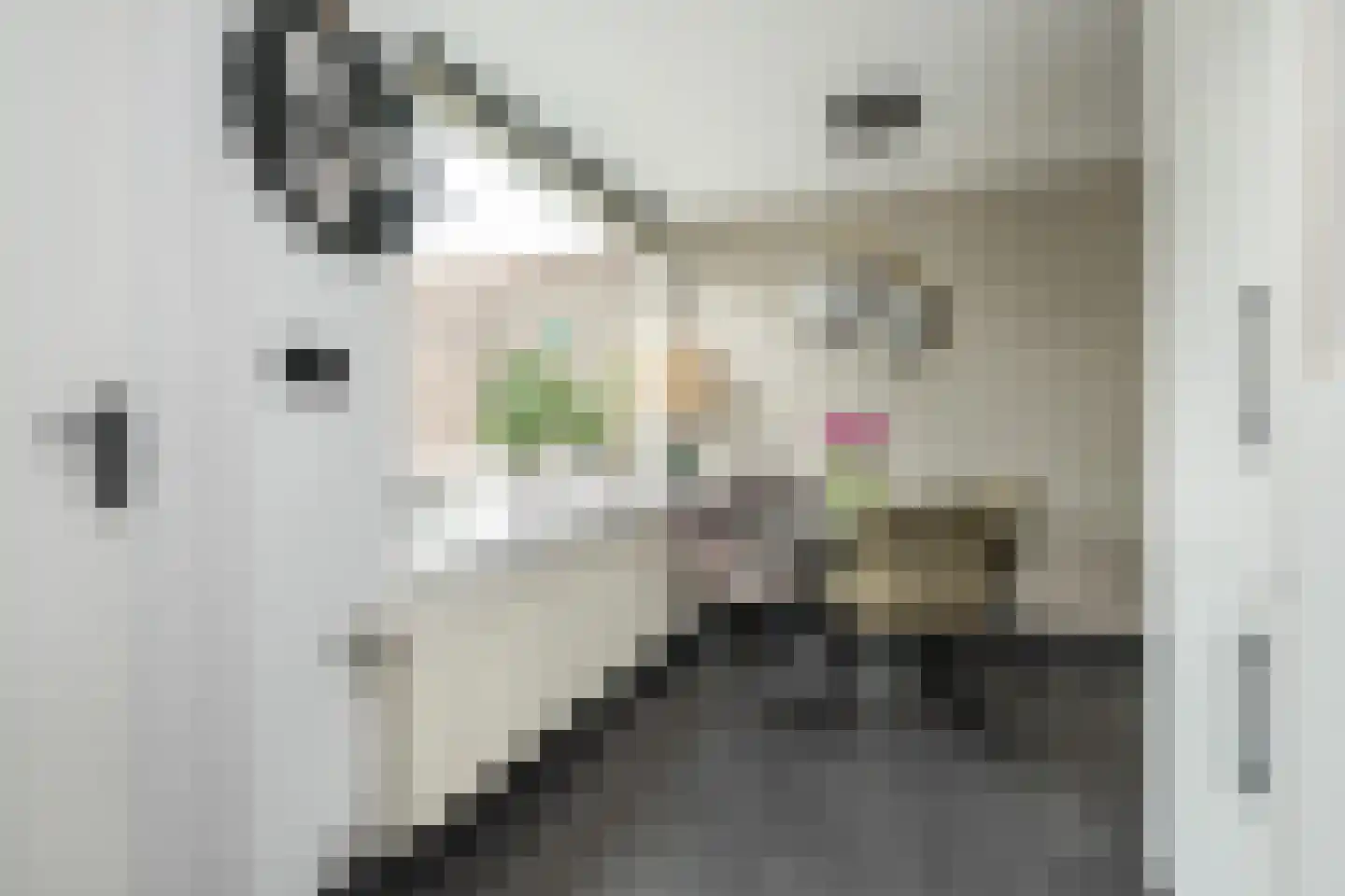 Emmastraat 39 Oude-Tonge thumbnail 13