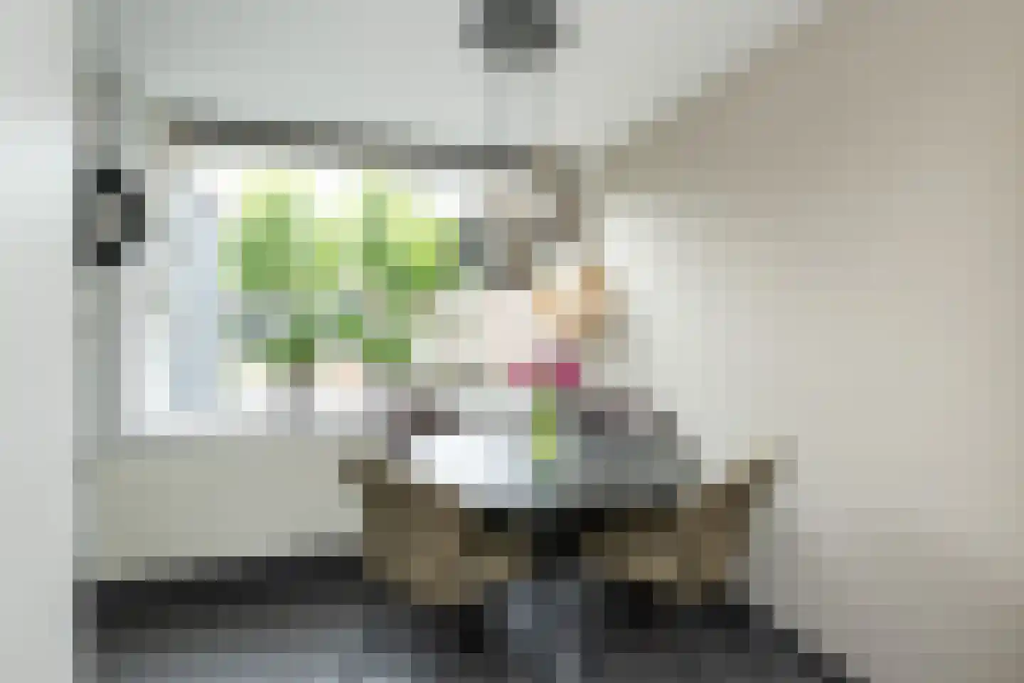 Emmastraat 39 Oude-Tonge thumbnail 14