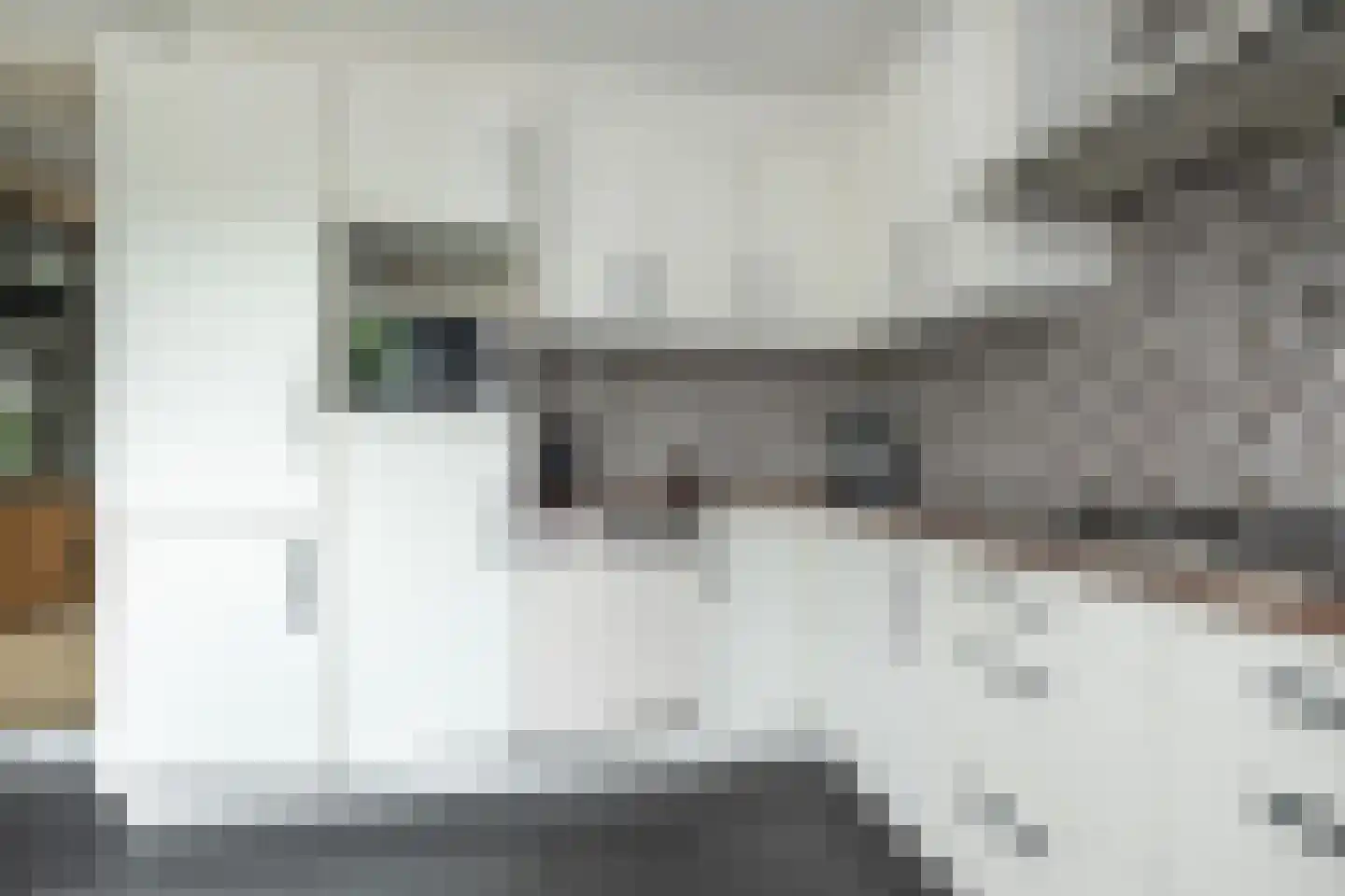 Emmastraat 39 Oude-Tonge thumbnail 16
