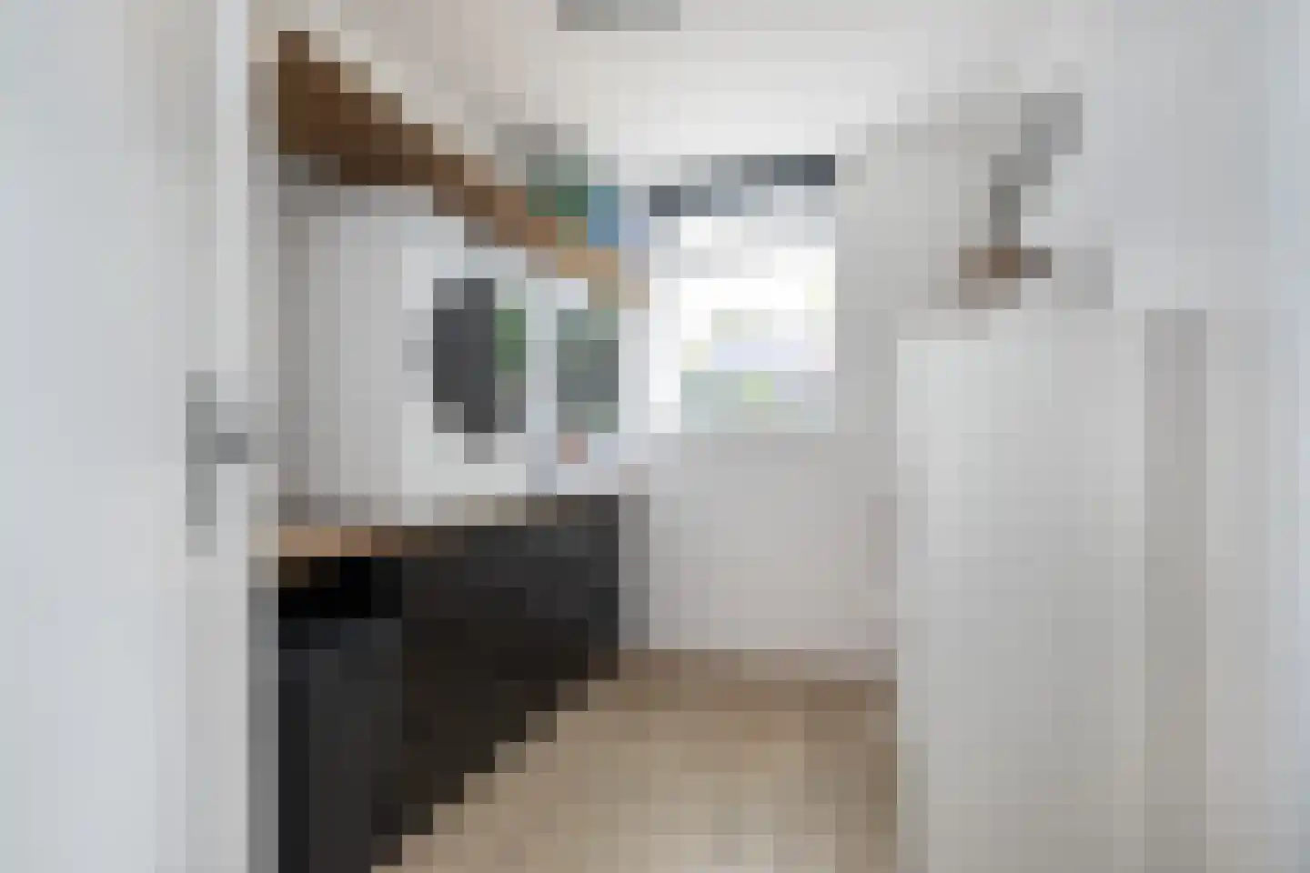 Emmastraat 39 Oude-Tonge thumbnail 20