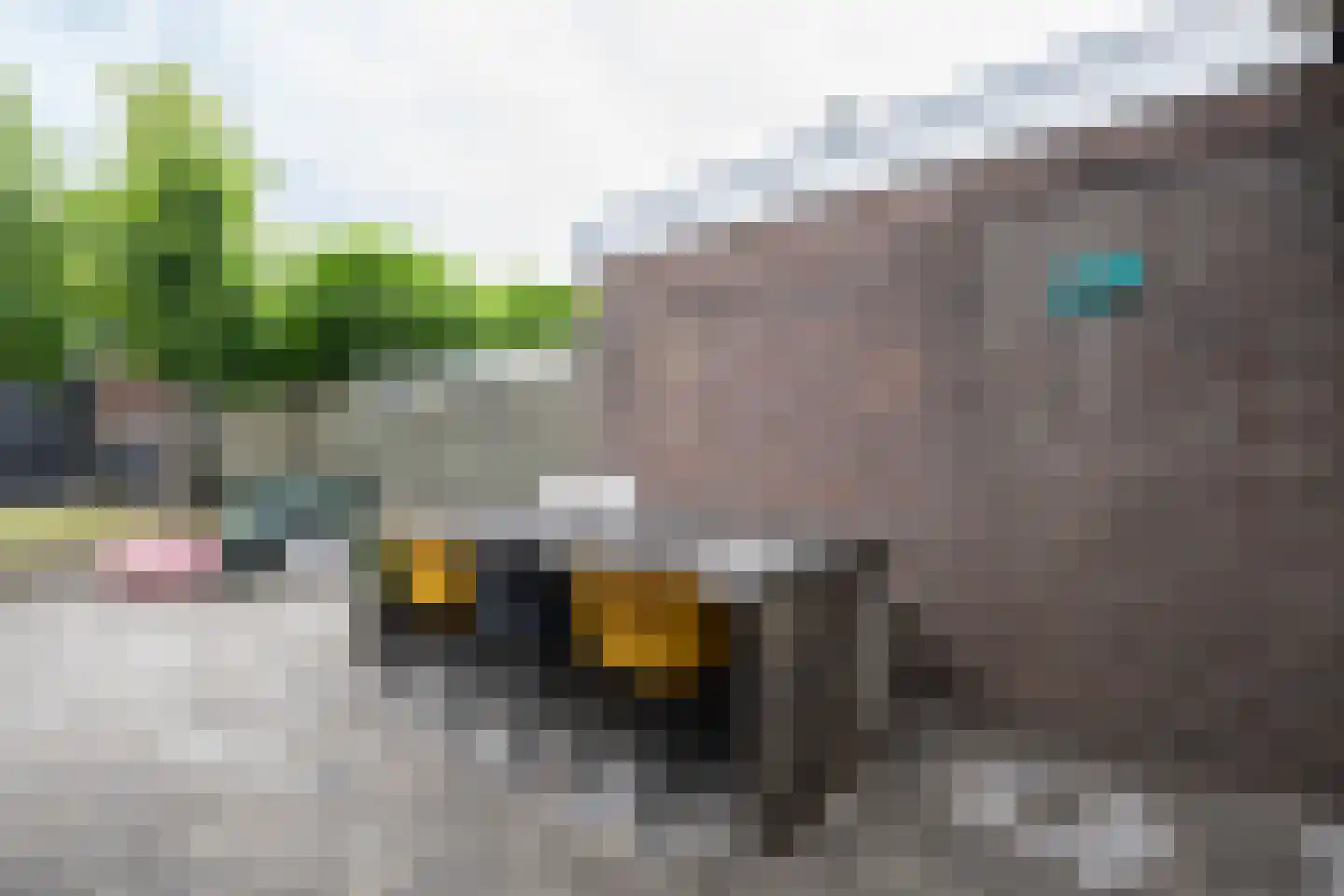 Emmastraat 39 Oude-Tonge thumbnail 29