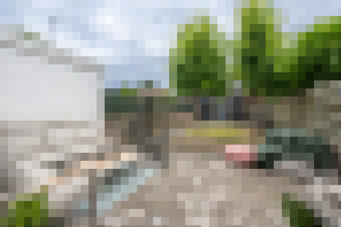 Emmastraat 39 Oude-Tonge thumbnail 5