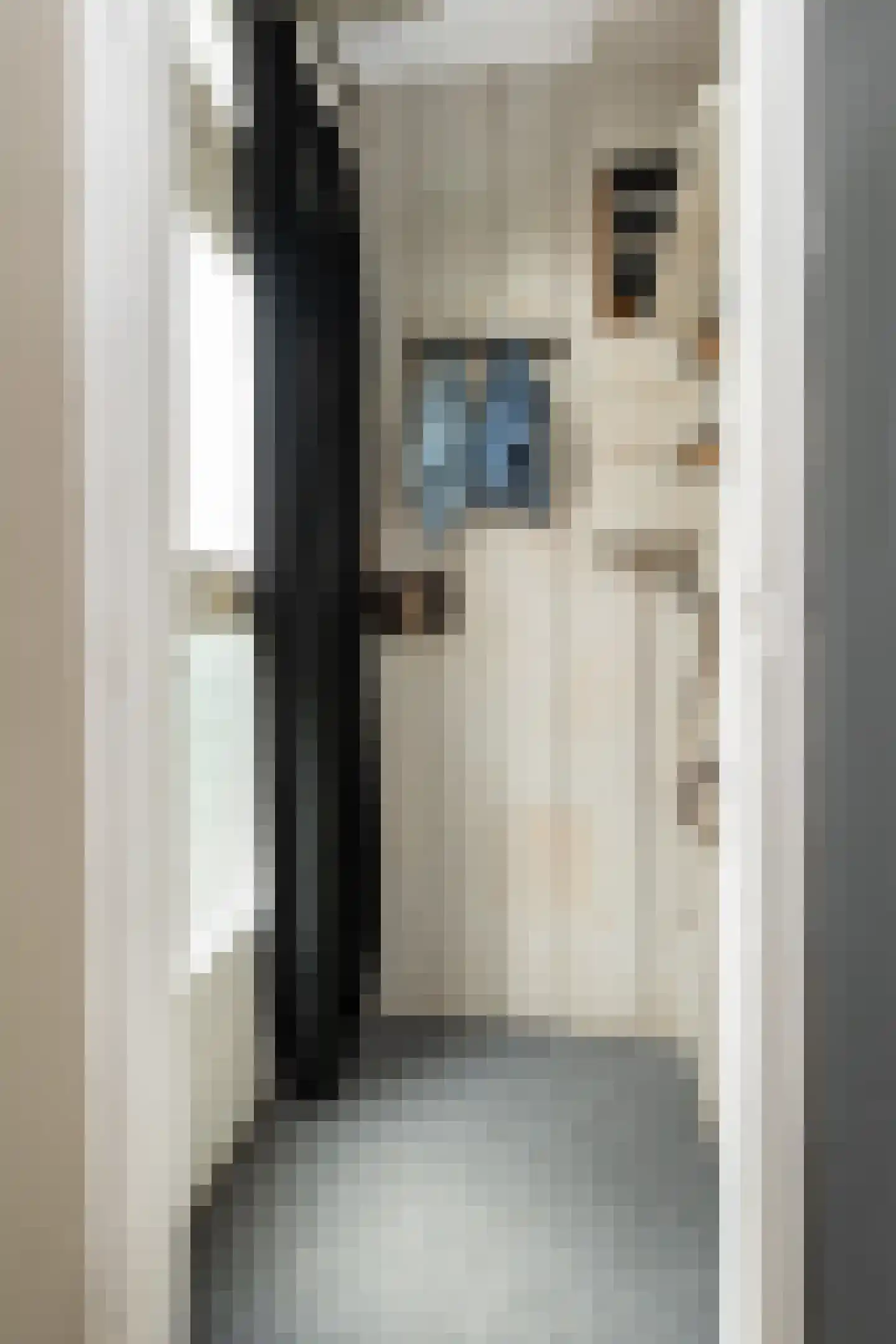 Emmastraat 39 Oude-Tonge thumbnail 8