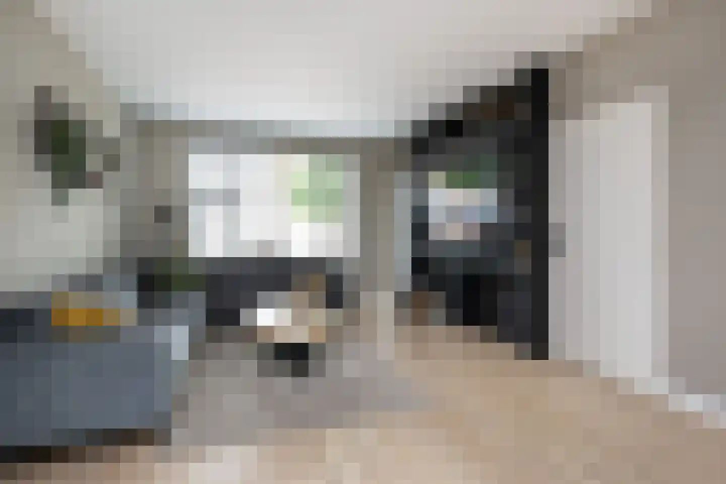 Emmastraat 39 Oude-Tonge thumbnail 9
